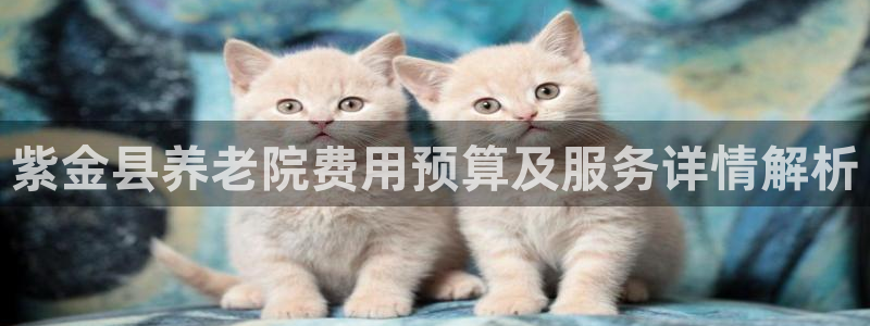 韦德1946娱乐手机版