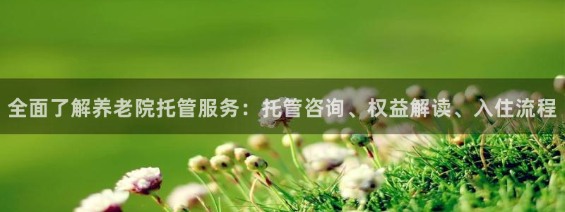 韦德新品
