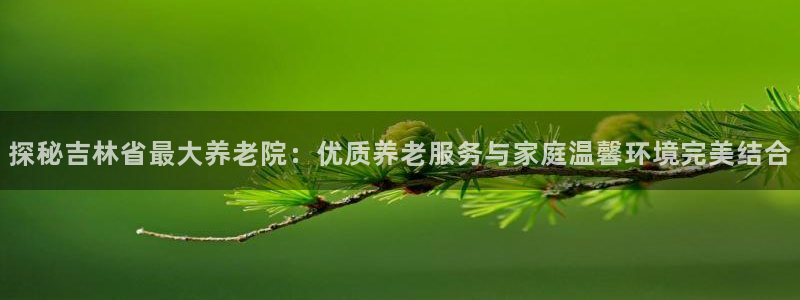 韦德1946网址