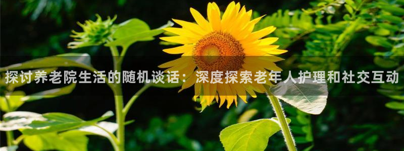 韦德bietview官网