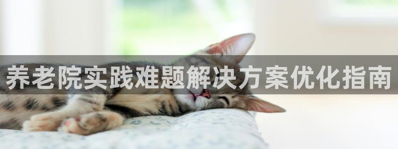 韦德1946源自英国