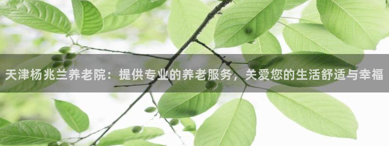韦德bietview官网