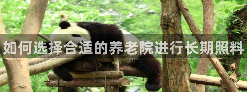 韦德事件