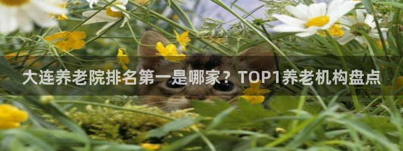 1946韦德官网