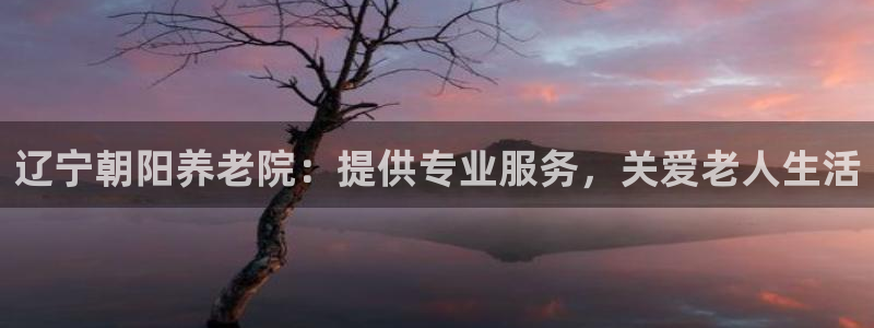 韦德官方网址大全