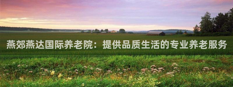 韦德网址