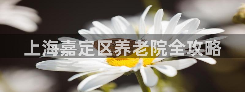 韦德游戏注册要用驾驶证嘛