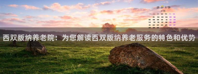 韦德1946游戏