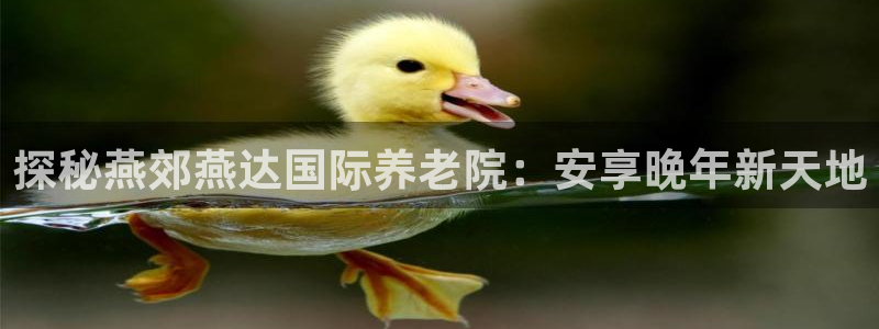 韦德1946娱乐