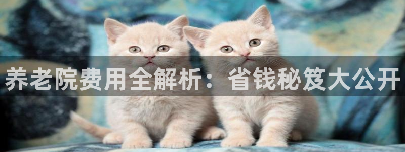 1946韦德网站