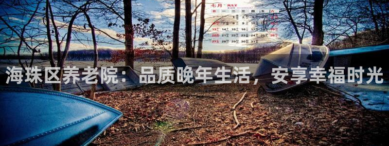 韦德2016