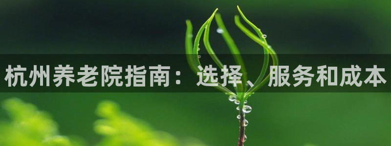 韦德游戏注册需要什么