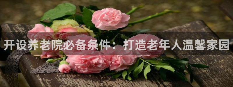 韦德1946游戏