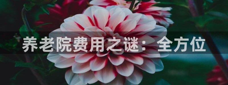 韦德bietview官网