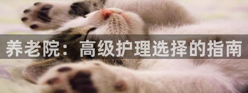 韦德游戏注册要用驾驶证嘛