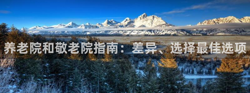 韦德网站是多少
