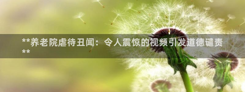 韦德1946始于英国