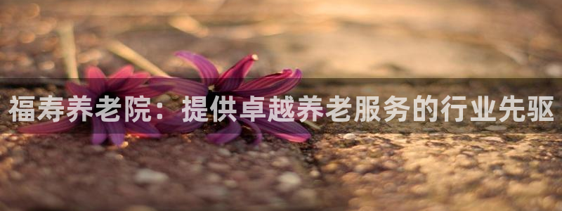 韦德官网在线