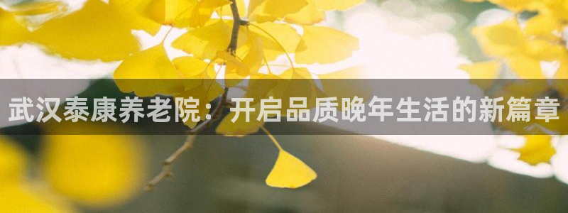 韦德官网在线
