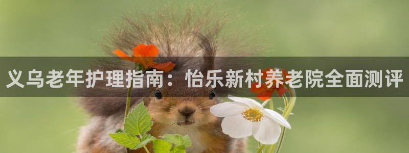 1946韦德官方网站