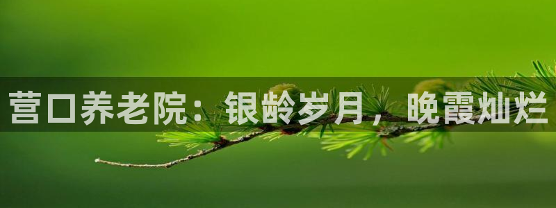 韦德下载