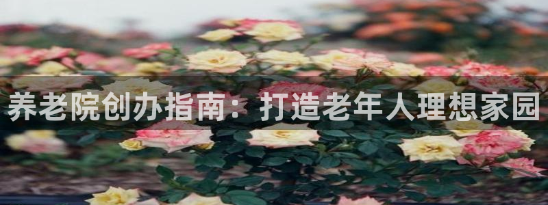韦德1946娱乐