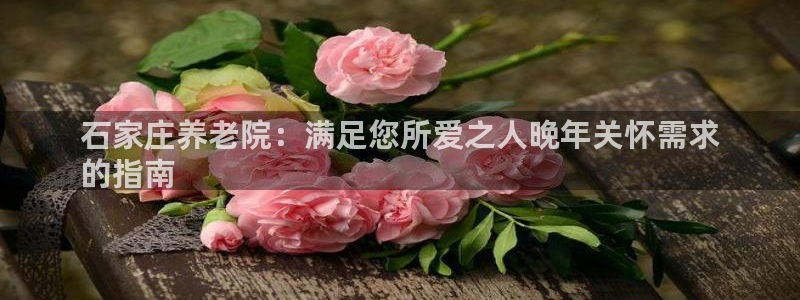 韦德bietview官网