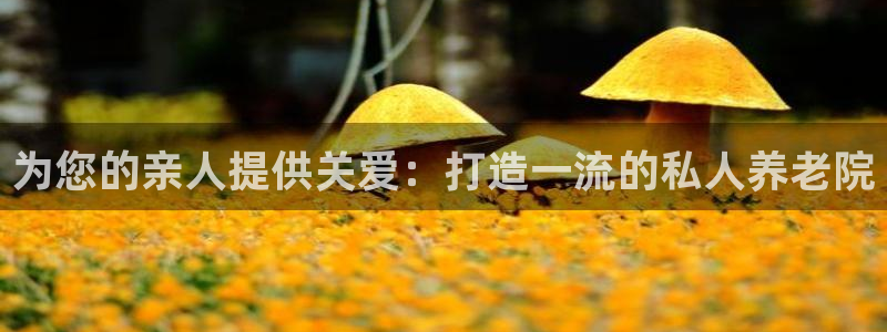 韦德观战总决赛G3