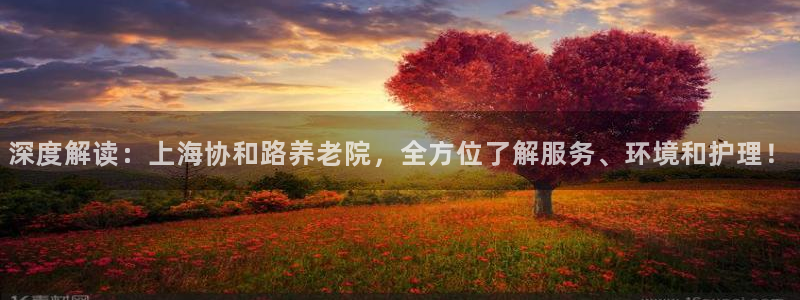 1946韦德找回密码