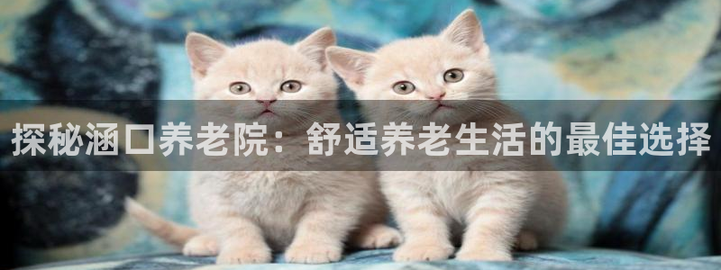 韦德com