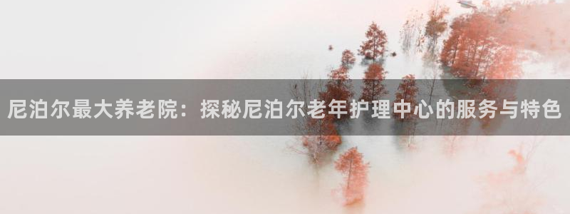 韦德1946中文官网