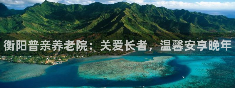 韦德是哪个