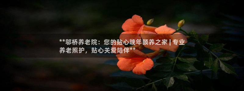 韦德官方网址大全