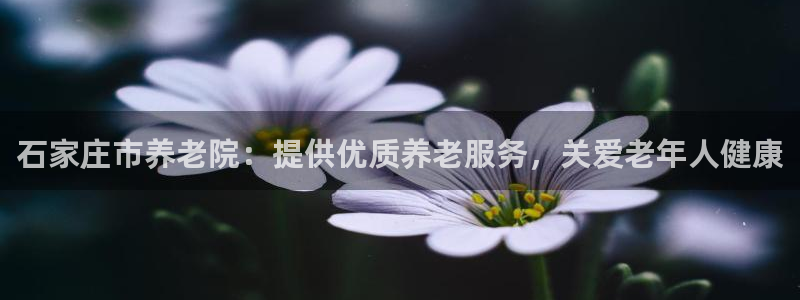 韦德网站是多少