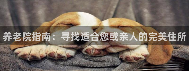 1946韦德官方网站