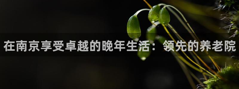 韦德2016