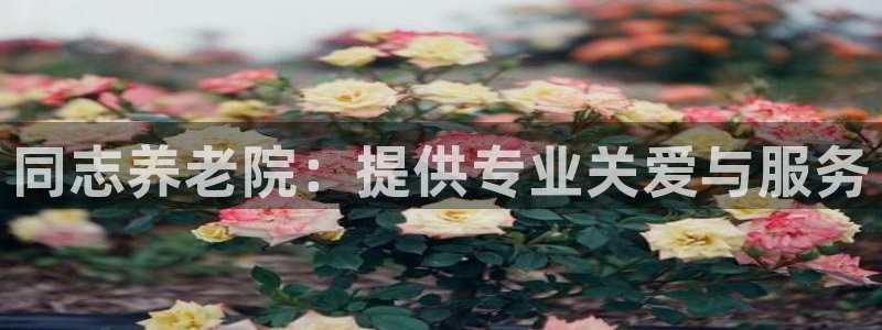 韦德1567