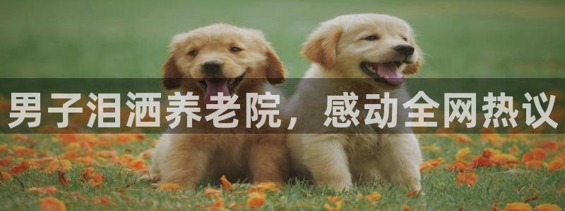 韦德的游戏