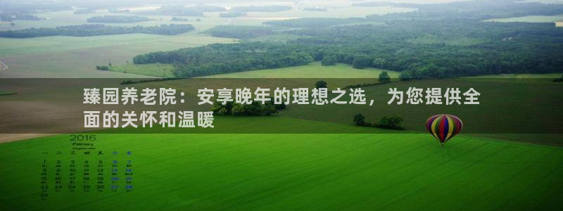 韦德1946国际