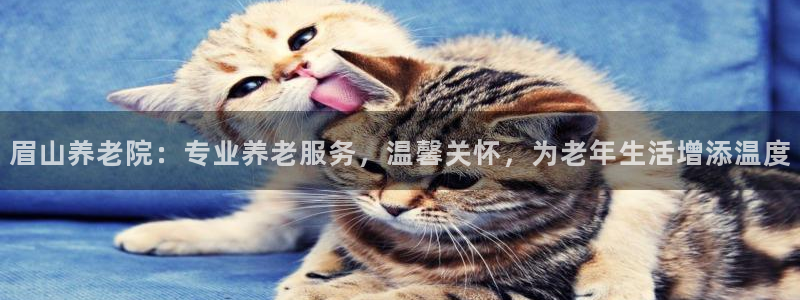 韦德1946国际娱乐