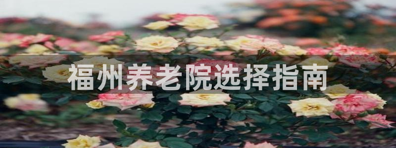 韦德2014