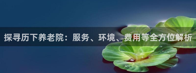 韦德新品