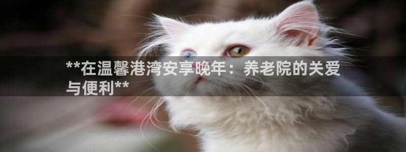韦德8月22日开启中国行