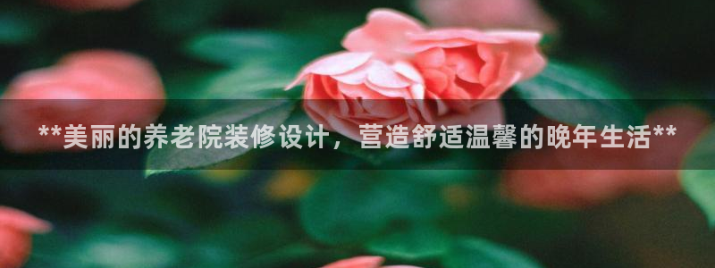 韦德游戏是什么