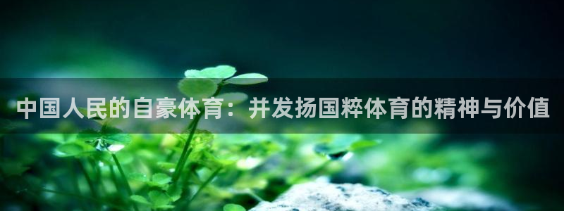 哈哈体育十年