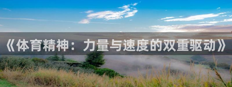 哈哈体育十年