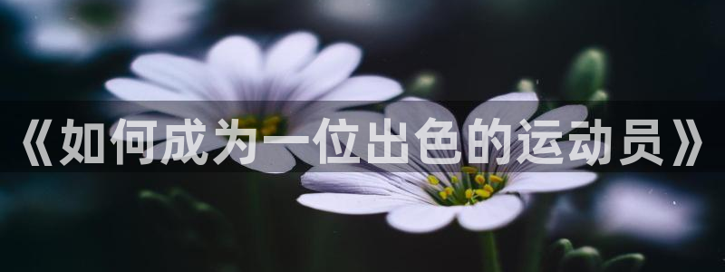 哈哈体育下载
