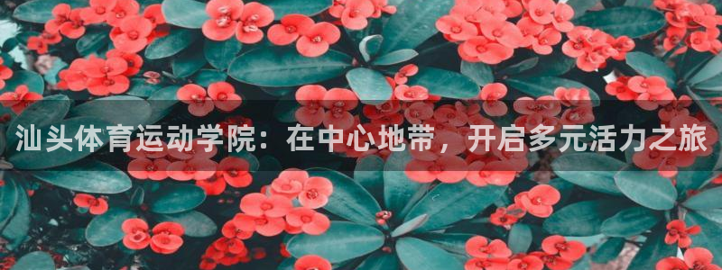 哈哈体育下载