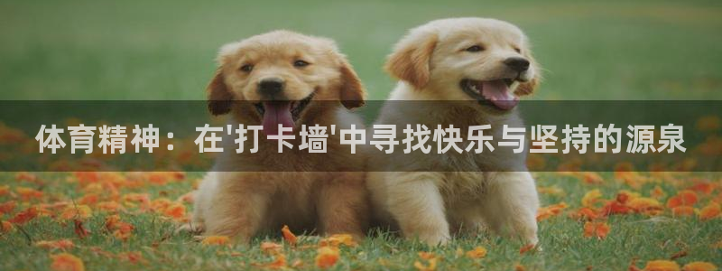 哈哈体育十年