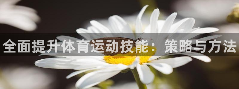 哈哈体育十年